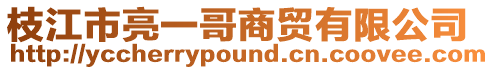 枝江市亮一哥商貿有限公司