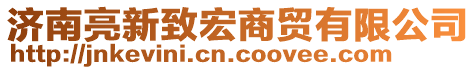 濟南亮新致宏商貿(mào)有限公司