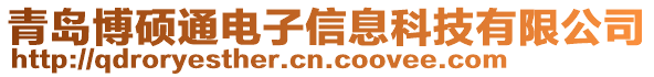 青島博碩通電子信息科技有限公司