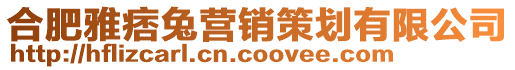 合肥雅痞兔營銷策劃有限公司