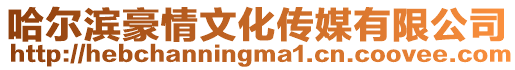 哈爾濱豪情文化傳媒有限公司