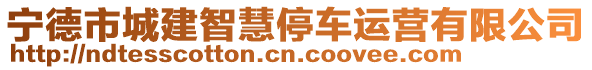 寧德市城建智慧停車運(yùn)營有限公司