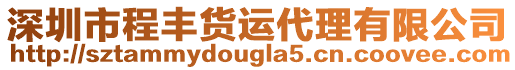 深圳市程豐貨運(yùn)代理有限公司