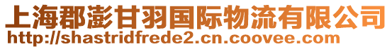 上?？づ旄视饑?guó)際物流有限公司