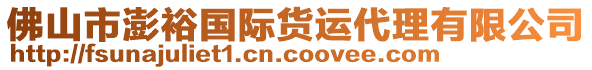 佛山市澎裕國際貨運代理有限公司