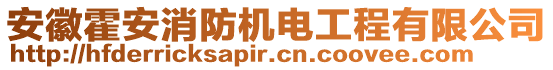 安徽霍安消防機(jī)電工程有限公司