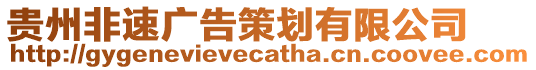 貴州非速廣告策劃有限公司