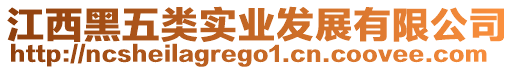 江西黑五類實業發展有限公司