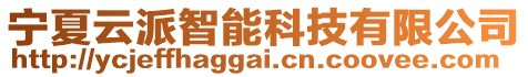 寧夏云派智能科技有限公司