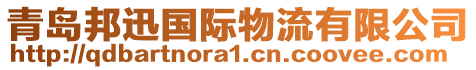 青島邦迅國(guó)際物流有限公司