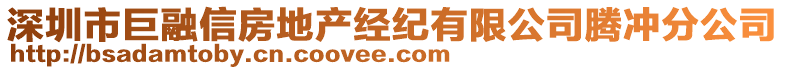 深圳市巨融信房地產(chǎn)經(jīng)紀(jì)有限公司騰沖分公司