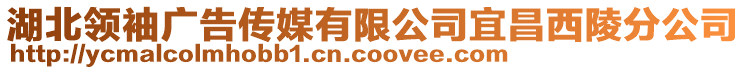 湖北領(lǐng)袖廣告?zhèn)髅接邢薰疽瞬髁攴止? style=