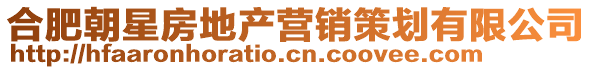 合肥朝星房地產(chǎn)營(yíng)銷(xiāo)策劃有限公司