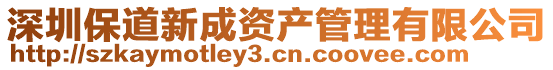 深圳保道新成資產(chǎn)管理有限公司