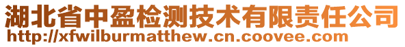 湖北省中盈檢測(cè)技術(shù)有限責(zé)任公司