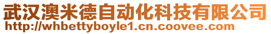 武漢澳米德自動化科技有限公司