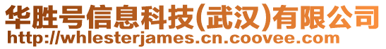 華勝號信息科技(武漢)有限公司