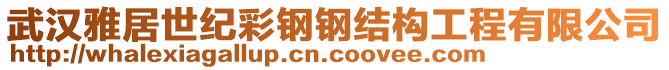 武漢雅居世紀(jì)彩鋼鋼結(jié)構(gòu)工程有限公司