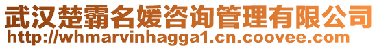 武漢楚霸名媛咨詢管理有限公司