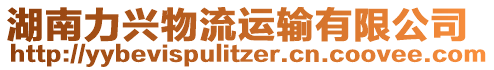 湖南力興物流運輸有限公司