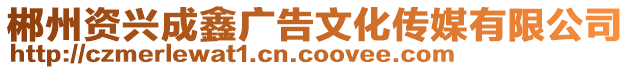 郴州資興成鑫廣告文化傳媒有限公司
