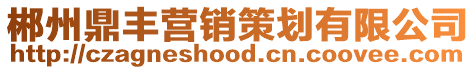 郴州鼎豐營銷策劃有限公司