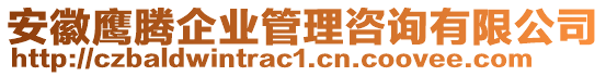 安徽鷹騰企業(yè)管理咨詢有限公司