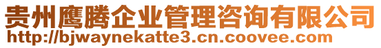 貴州鷹騰企業(yè)管理咨詢有限公司