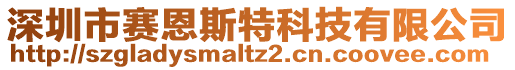 深圳市賽恩斯特科技有限公司