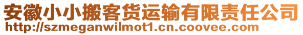 安徽小小搬客貨運輸有限責任公司