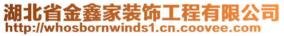 湖北省金鑫家裝飾工程有限公司