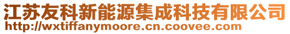 江蘇友科新能源集成科技有限公司