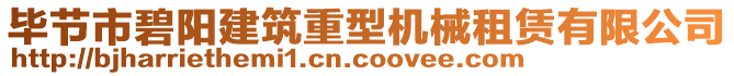 畢節市碧陽建筑重型機械租賃有限公司