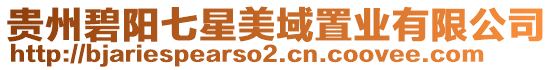 貴州碧陽七星美域置業有限公司