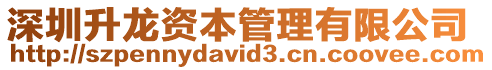 深圳升龍資本管理有限公司