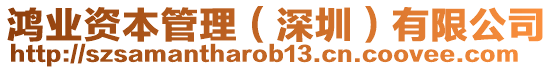鴻業資本管理（深圳）有限公司
