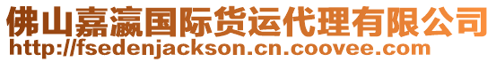 佛山嘉瀛國(guó)際貨運(yùn)代理有限公司