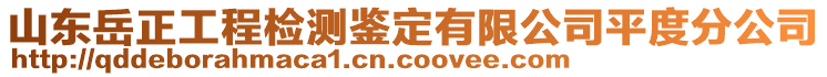 山东岳正工程检测鉴定有限公司平度分公司