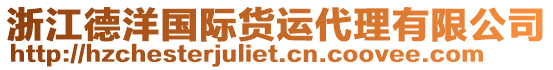 浙江德洋國(guó)際貨運(yùn)代理有限公司