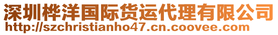 深圳樺洋國際貨運代理有限公司