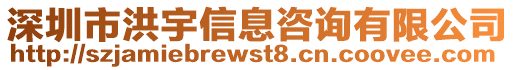 深圳市洪宇信息咨詢有限公司