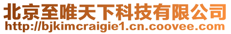 北京至唯天下科技有限公司