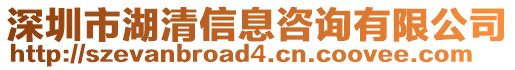 深圳市湖清信息咨詢(xún)有限公司