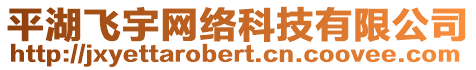 平湖飛宇網(wǎng)絡(luò)科技有限公司