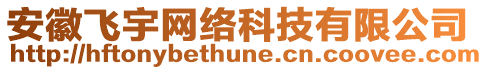 安徽飛宇網(wǎng)絡(luò)科技有限公司
