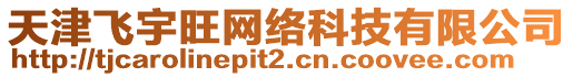 天津飛宇旺網(wǎng)絡科技有限公司