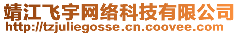 靖江飛宇網(wǎng)絡(luò)科技有限公司