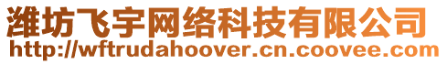 濰坊飛宇網絡科技有限公司