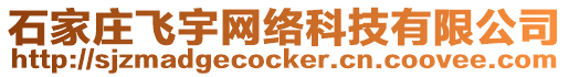 石家莊飛宇網絡科技有限公司