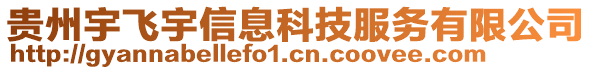 貴州宇飛宇信息科技服務有限公司
